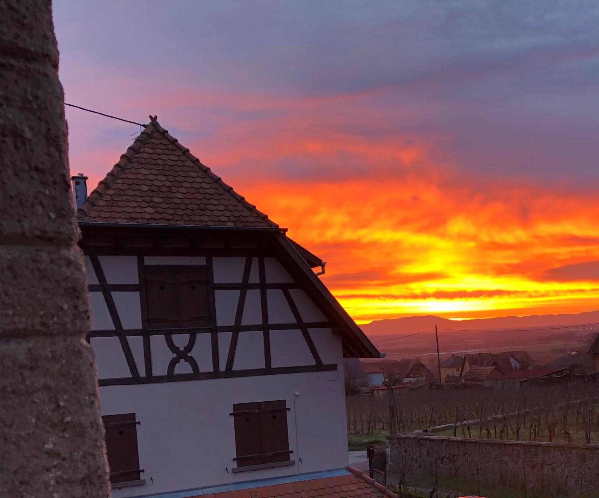 Beck Domaine Du Rempart Villa Dambach Kültér fotó